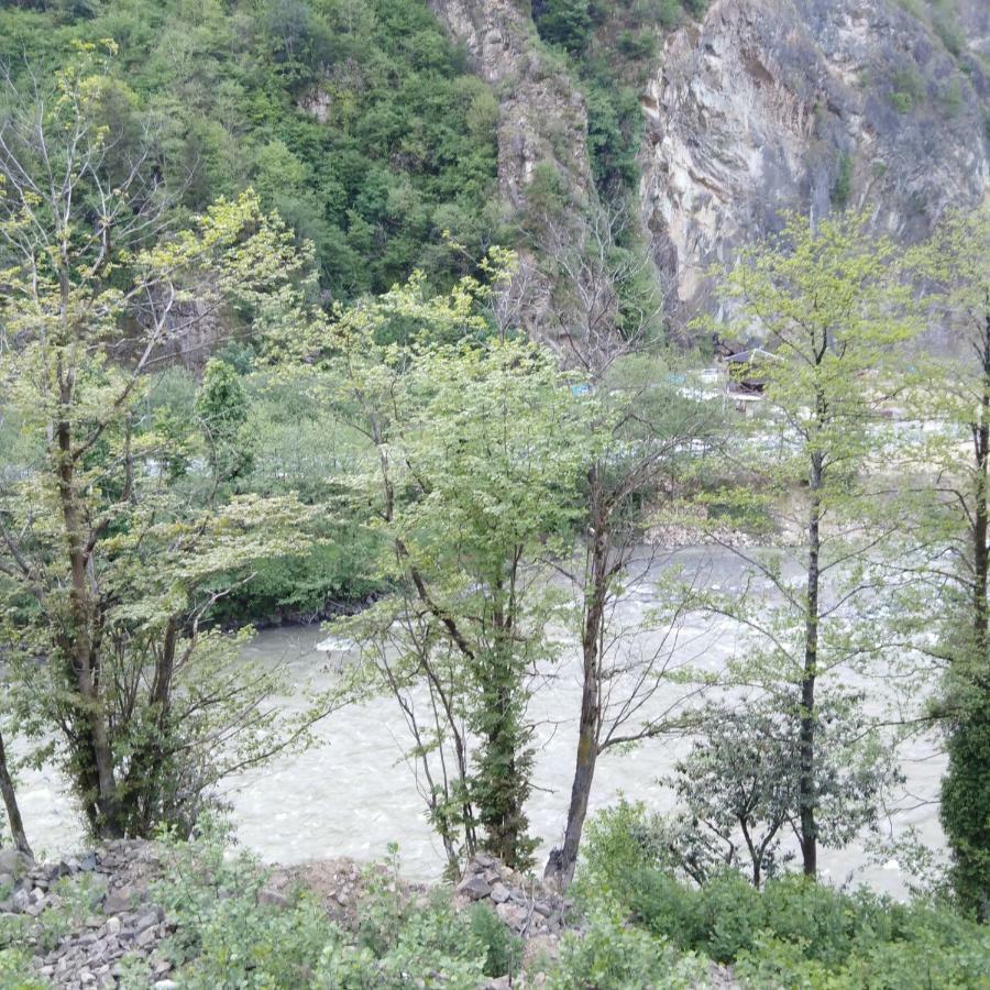 Zisto Apart Otel & Bungalows Rize Zewnętrze zdjęcie