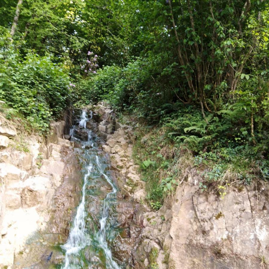 Zisto Apart Otel & Bungalows Rize Zewnętrze zdjęcie